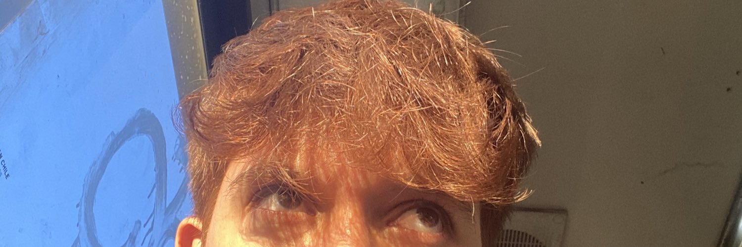 _fernvndoo_'s profile banner image