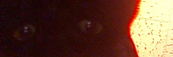 jvdmy's profile banner image