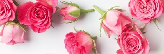 9918Martina's profile banner image