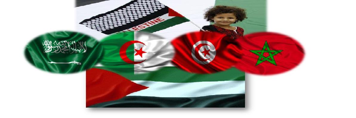 amira10210's profile banner image