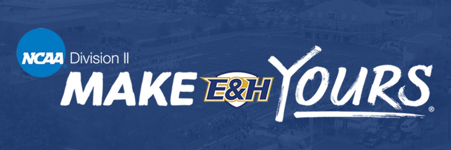 Emory & Henry Wasps banner