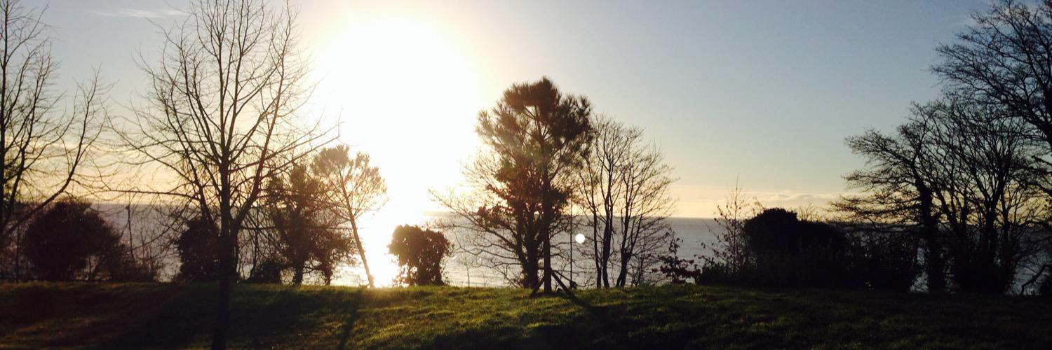 Natalie_Whyatt's profile banner image