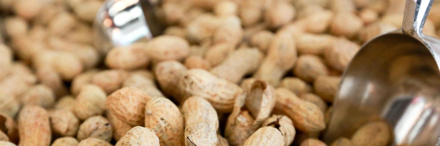 Five Guys UAE banner