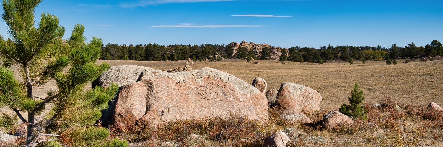 Matt Pignataro banner