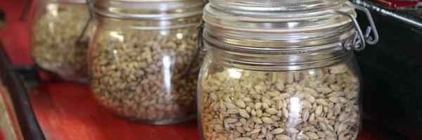 edradourmalt Profile Banner