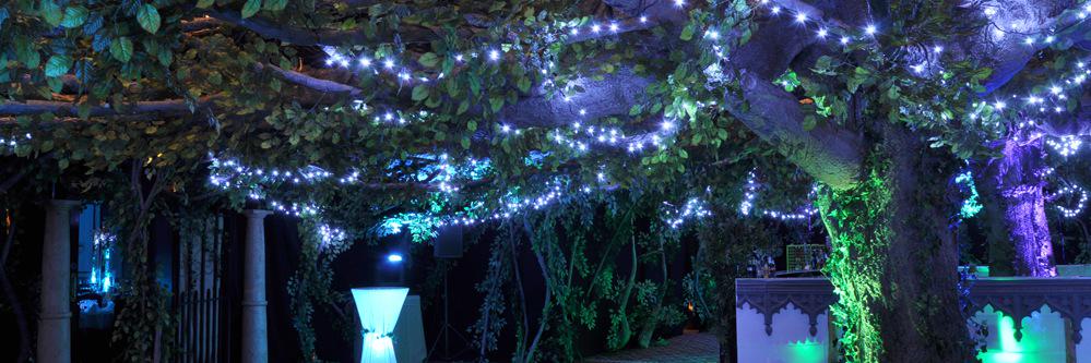 EventTrees's profile banner image