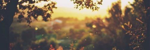 Rose Granger–Weasley banner