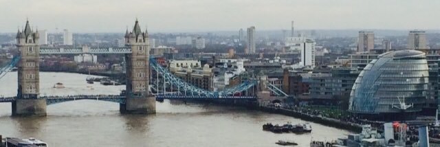 Sharon Marson banner