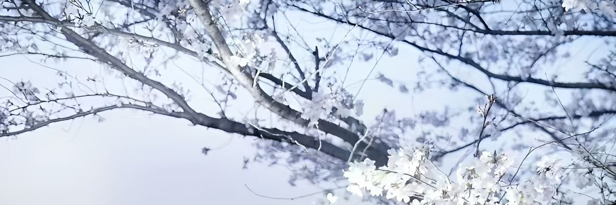 le__bel's profile banner image