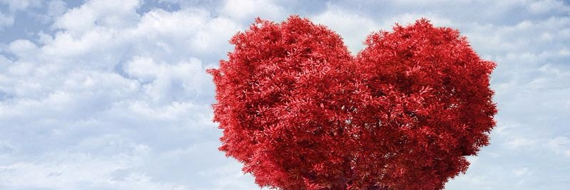 kaliaa_kitty's profile banner image