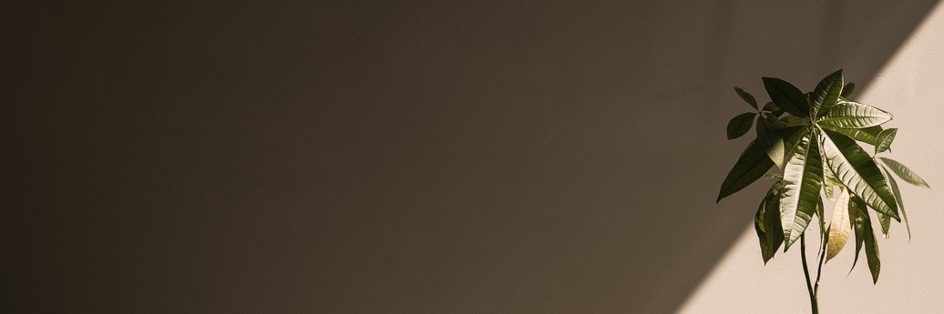 Conor Michael Smith banner