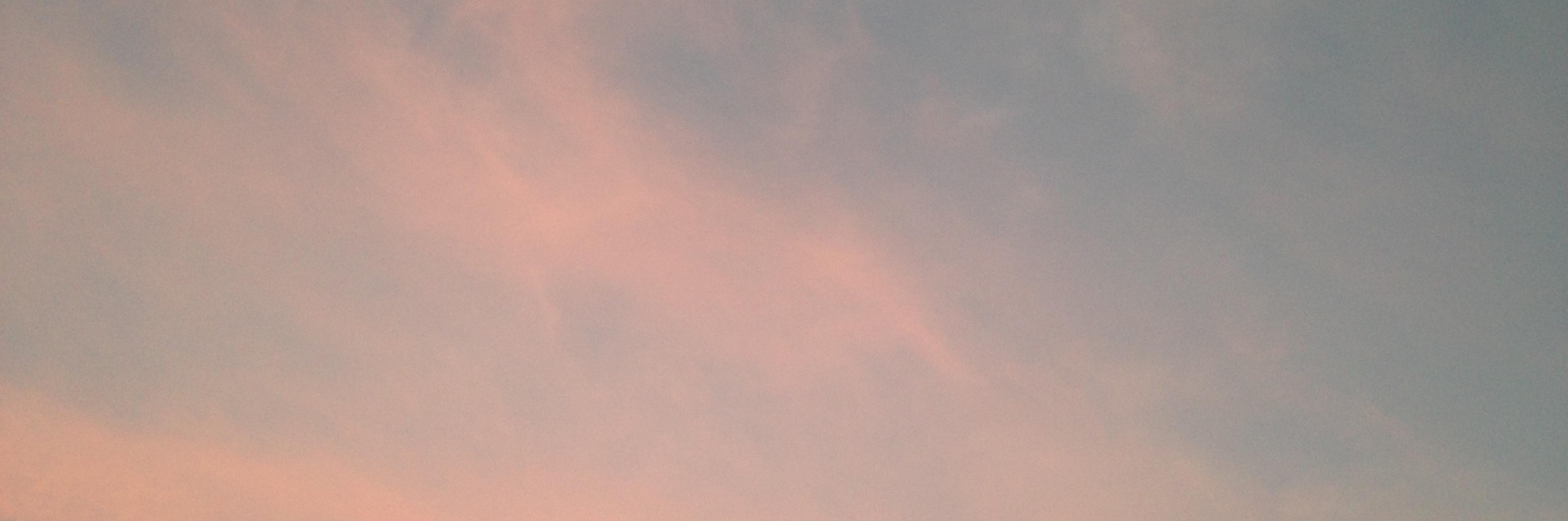 lizzyisdead's profile banner image