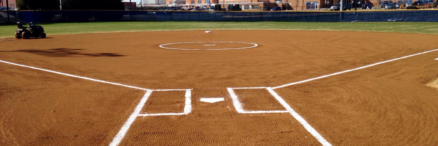 Edison Softball banner