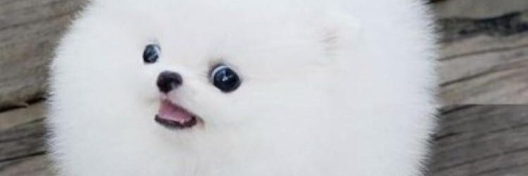 ItMeTJay's profile banner image