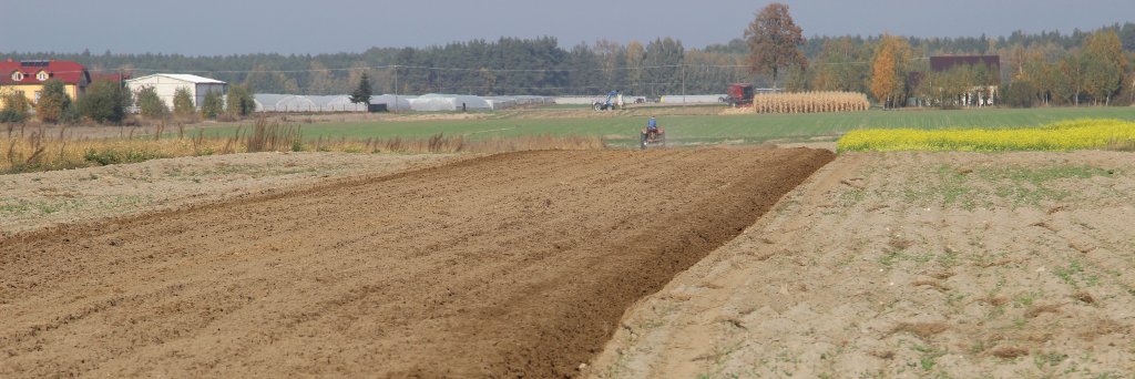Krzysztof Zacharuk banner