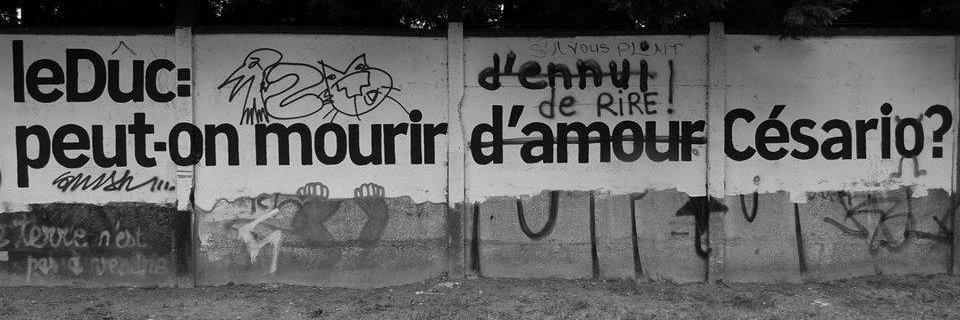 Stéphane 🐉 SG* 📸 banner