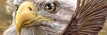 bar_azak's profile banner image