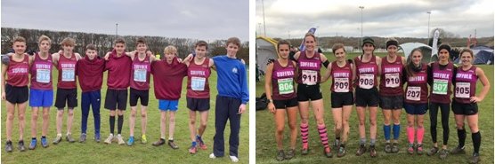 Suffolk County AA banner