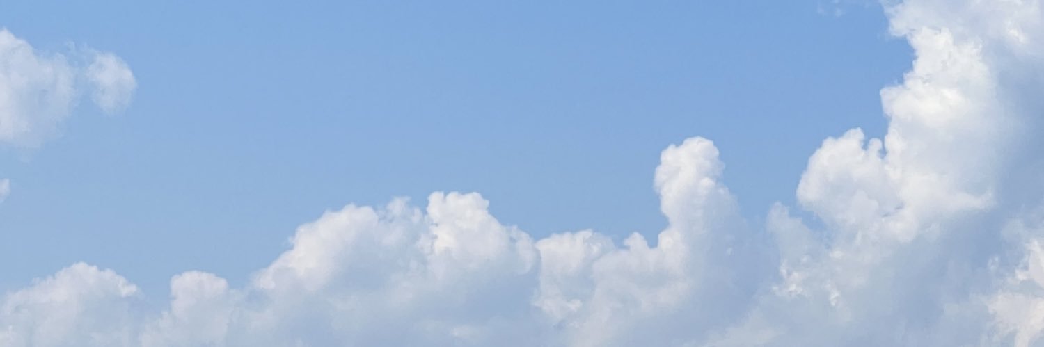 phoebemulry's profile banner image