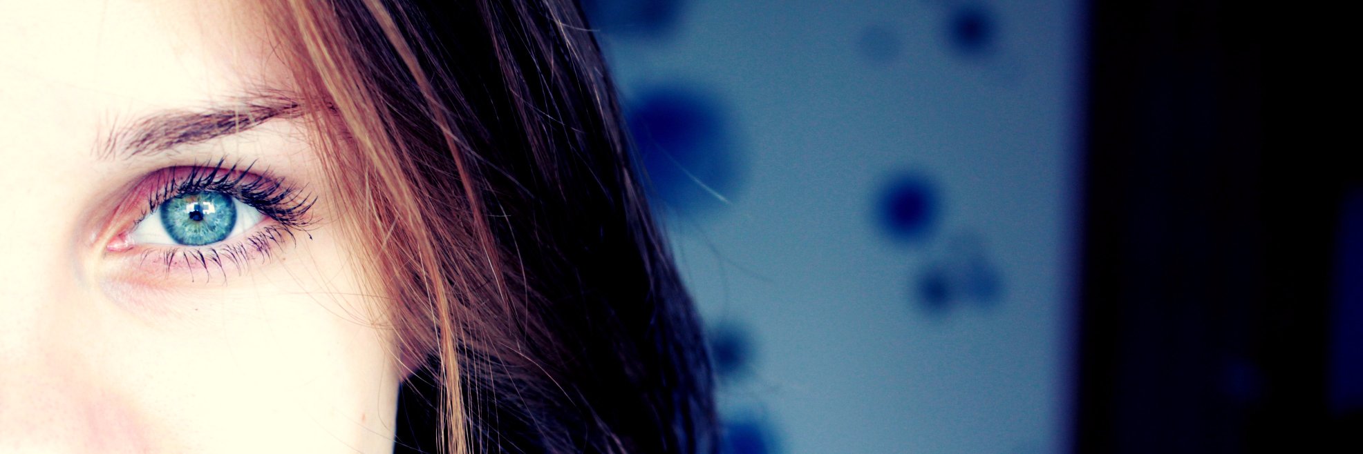 poliploot's profile banner image