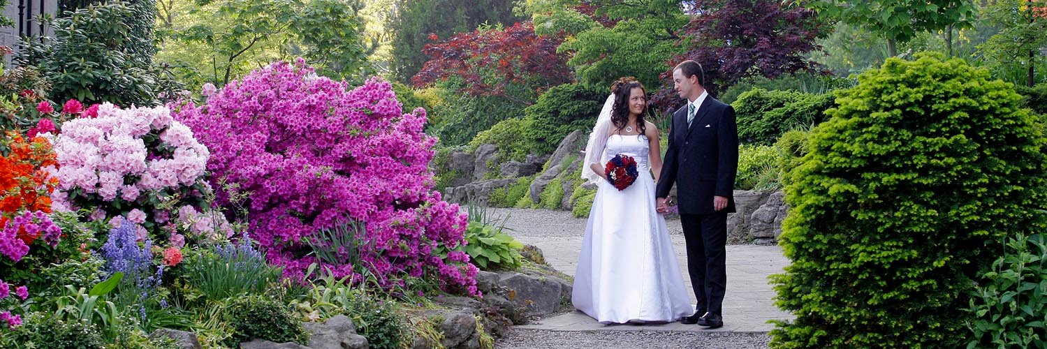npweddings's profile banner image