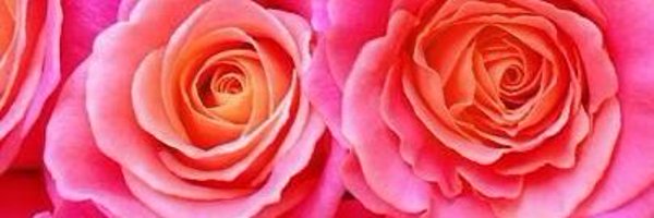 _GSubramanian_ Profile Banner