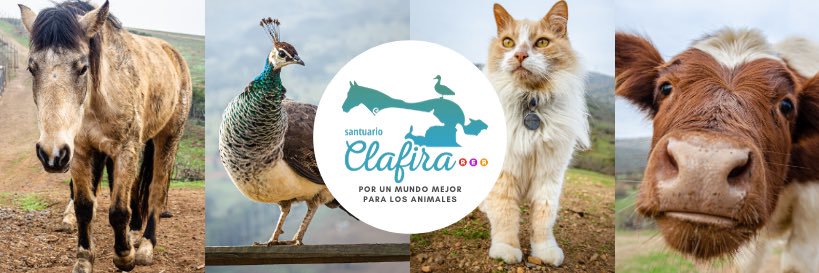 SClafira's profile banner image