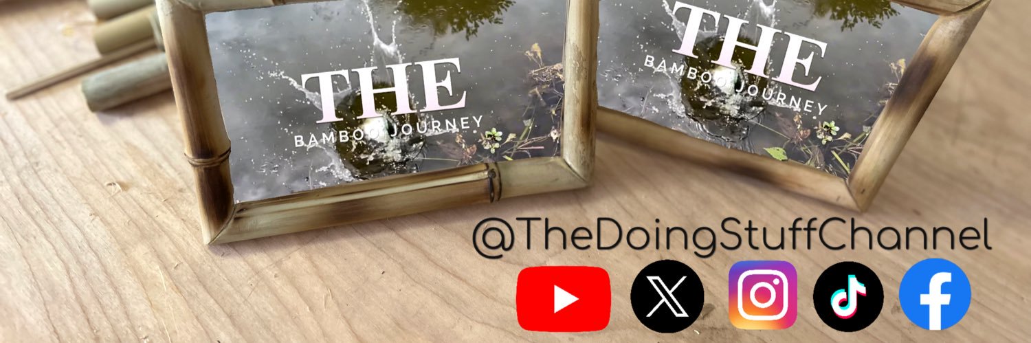 TheDSChannel's profile banner image