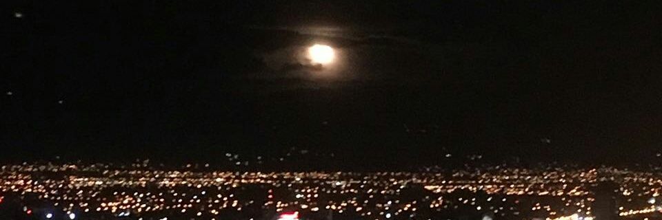alanbubulurico's profile banner image