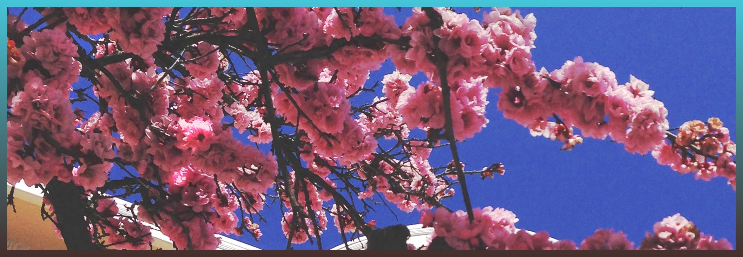 stylesvoicess's profile banner image