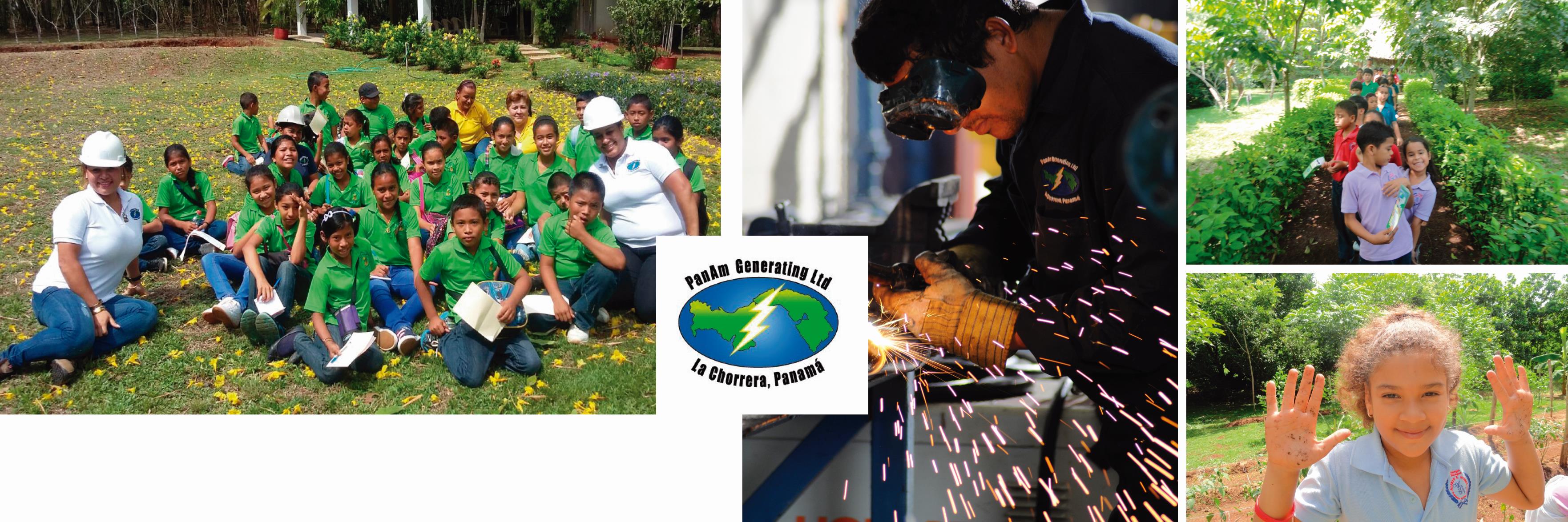 PanAm Generating Ltd banner