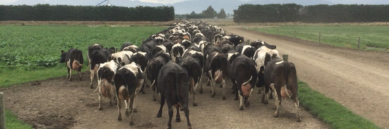 cathal o sullivan banner