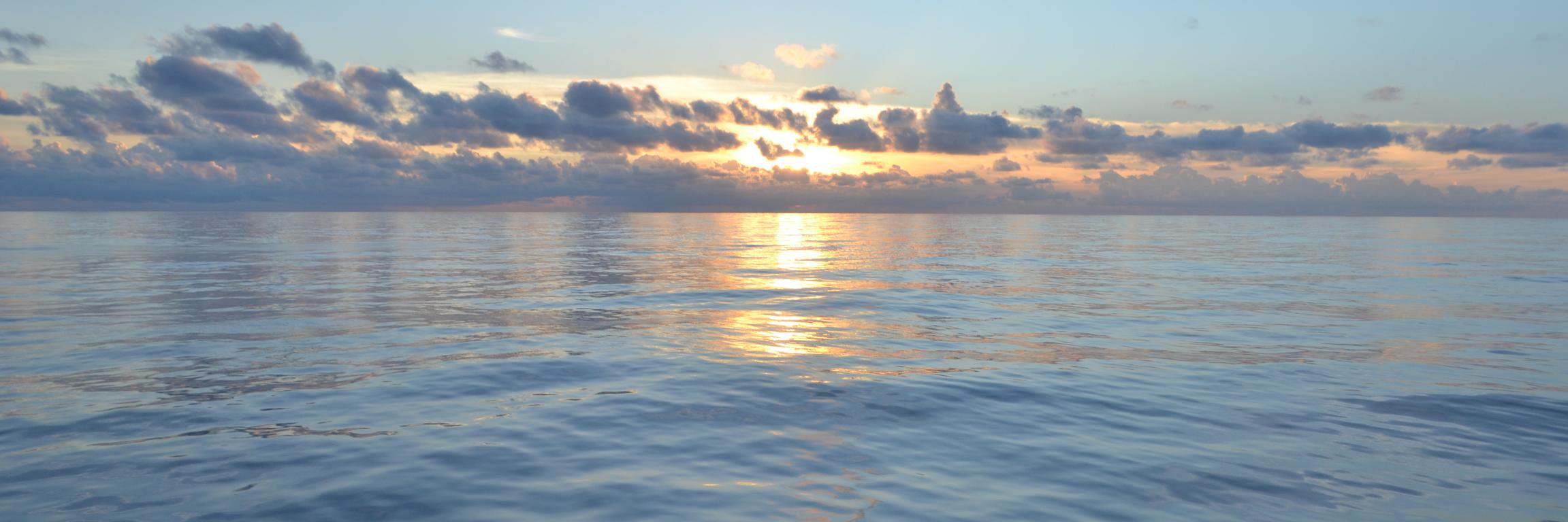 micronuria's profile banner image