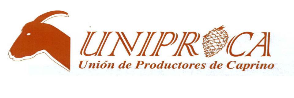 UNIPROCA_SPAIN's profile banner image