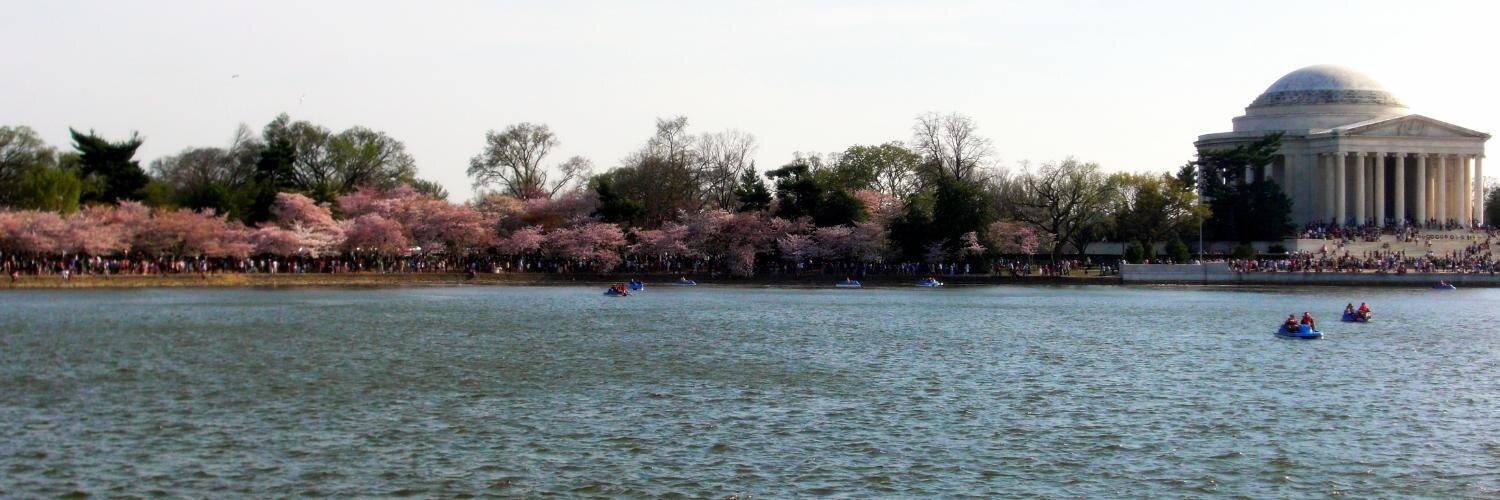 LeCount Briscoe banner