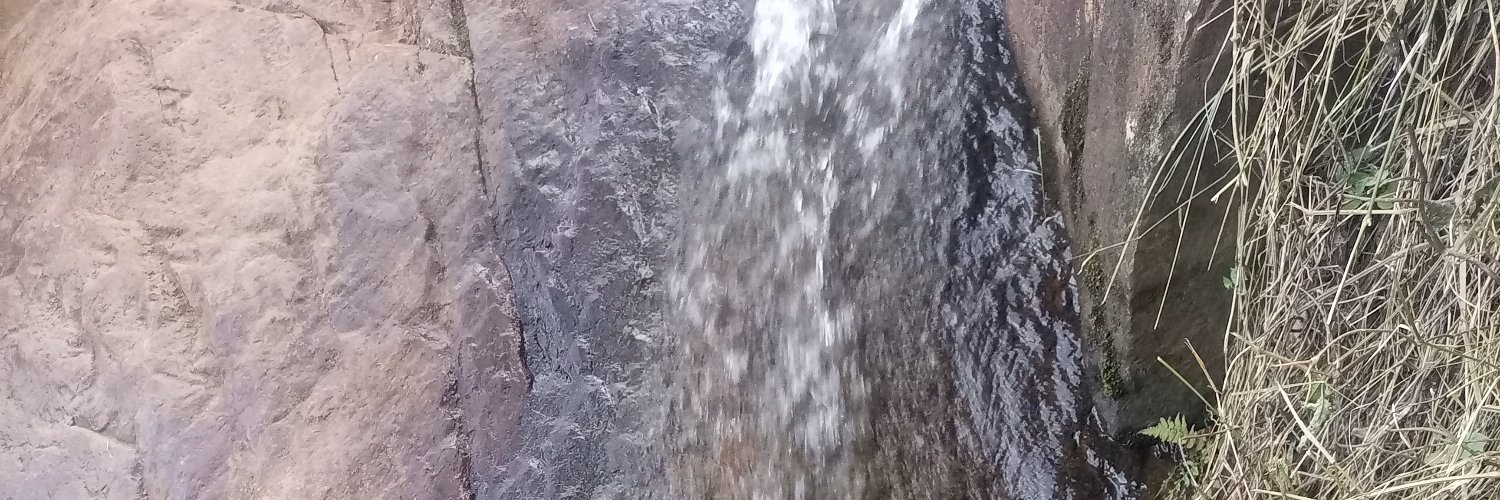 thedraym's profile banner image