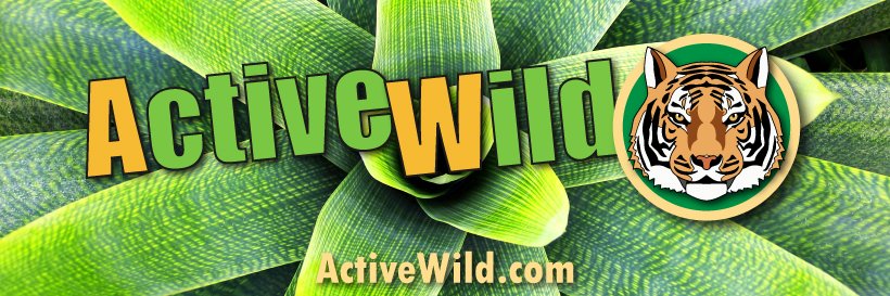 Active_Wild's profile banner image