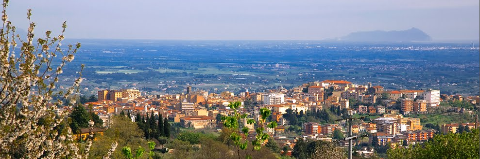 sandro_pucci's profile banner image