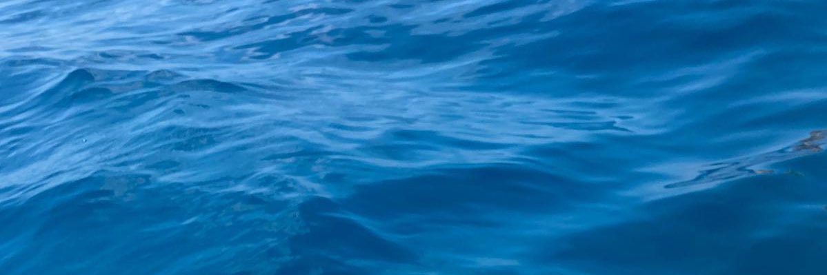 jemima_barton's profile banner image