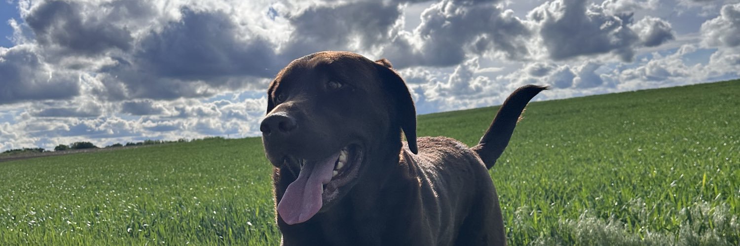 logansweet51's profile banner image