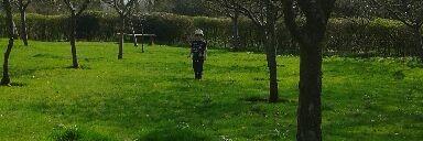 gadsby_tom's profile banner image