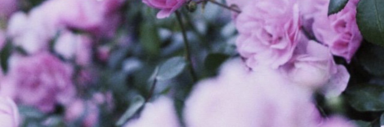 JaebeomBestB's profile banner image