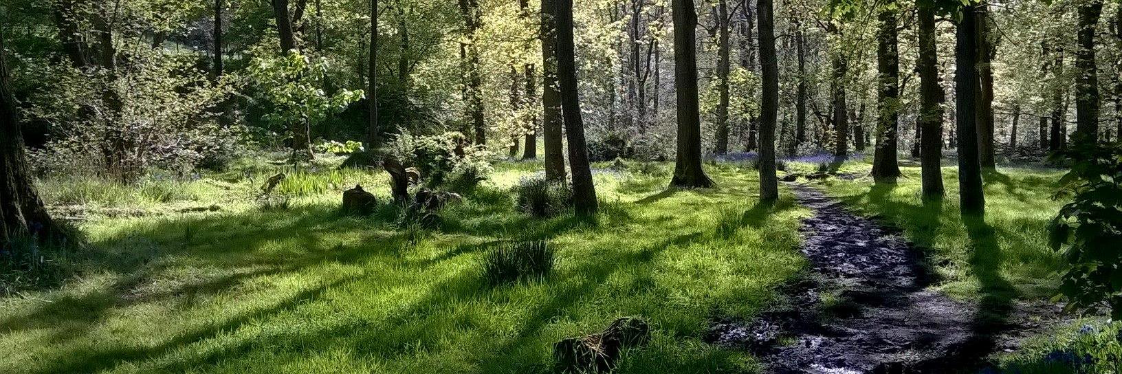 Waddecar Scout Activity Centre banner