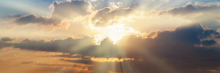 Phyllis H. Halverson banner