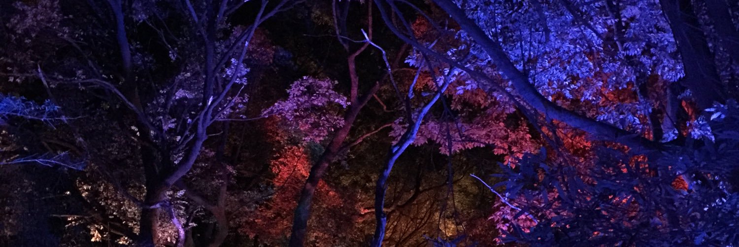 TkykyLv's profile banner image