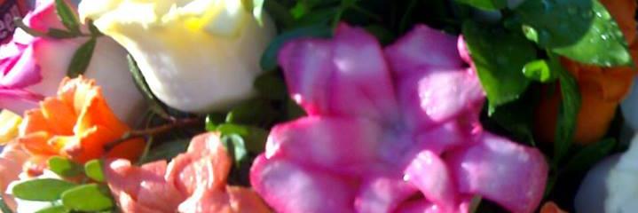 rm_raffa53's profile banner image
