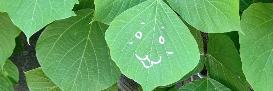 kapparin125's profile banner image