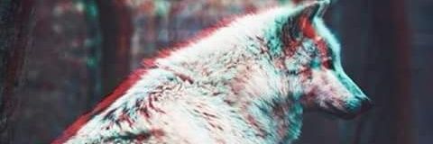 ZeneMv's profile banner image