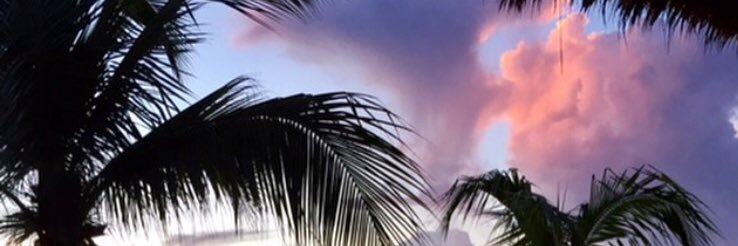 bolsworld's profile banner image