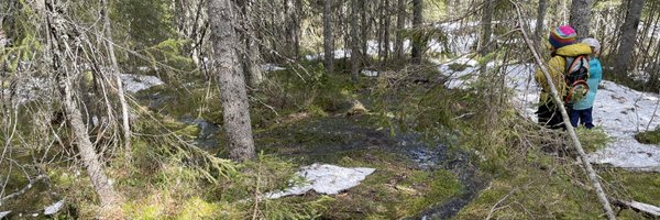 emhasselquist Profile Banner